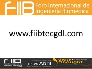 www.fiibtecgdl.com