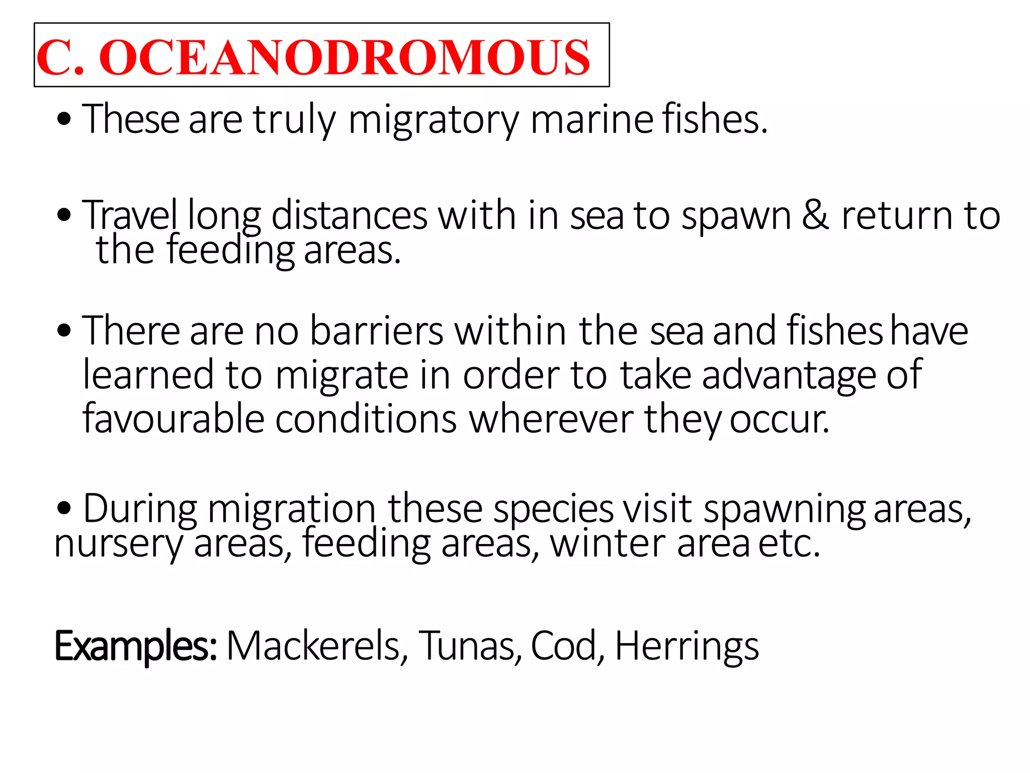 C. OCEANODROMOUS
•Theseare truly migratory marinefishes.
•Travel long distances with in seato spawn & return to
the feedingareas.
•Thereare no barriers within the seaand fisheshave
learned to migrate in order to take advantage of
favourable conditions wherever theyoccur.
•During migration these speciesvisit spawningareas,
nursery areas, feeding areas, winter areaetc.
Examples:Mackerels, Tunas,Cod,Herrings
 