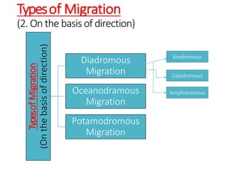 Typesof Migration
(2. On the basis of direction)
TypesofMigration
(Onthebasisofdirection)
Diadromous
Migration
Oceanodramous
Migration
Potamodromous
Migration
Anadromous
Catadromous
Amphidromous
 