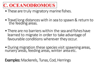 C. OCEANODROMOUS
•Theseare truly migratory marinefishes.
•Travel long distances with in seato spawn & return to
the feedingareas.
•Thereare no barriers within the seaand fisheshave
learned to migrate in order to take advantage of
favourable conditions wherever theyoccur.
•During migration these speciesvisit spawningareas,
nursery areas, feeding areas, winter areaetc.
Examples:Mackerels, Tunas,Cod,Herrings
 