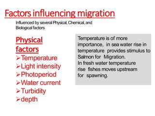 Factorsinfluencing migration
Influenced by several Physical,Chemical,and
Biologicalfactors
Physical
factors
Temperature
Light intensity
Photoperiod
Water current
Turbidity
depth
Temperature is of more
importance, in sea water rise in
temperature provides stimulus to
Salmon for Migration.
In fresh water temperature
rise fishes moves upstream
for spawning.
 
