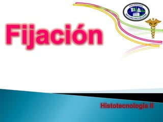 Fijación Histotecnología II 