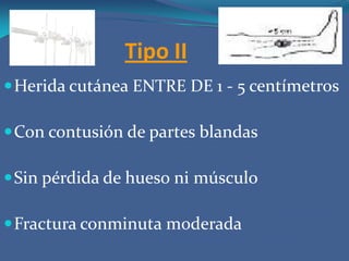 Tipo IIIHerida  cutánea MAYOR A 10 centímetros.Con contusión cutánea, pérdida muscular y denudamiento periósticoFractura con gran conminución e inestabilidad 