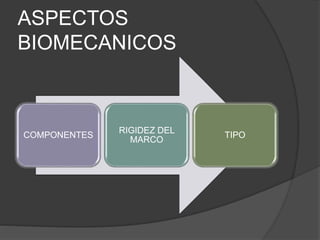 ASPECTOS
BIOMECANICOS
COMPONENTES
RIGIDEZ DEL
MARCO
TIPO
 