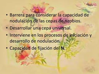 • Barrera para considerar la capacidad de
nodulación de las cepas de rizobios.
• Desarrollar una cepa universal.
• Interviene en los procesos de iniciación y
desarrollo de nodulación.
• Capacidad de fijación del N.

 