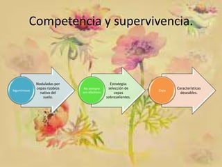 Competencia y supervivencia.

leguminosas

Noduladas por
cepas rizobios
nativo del
suelo.

No siempre
son efectivos

Estrategia:
selección de
cepas
sobresalientes.

Cepa

Características
deseables.

 