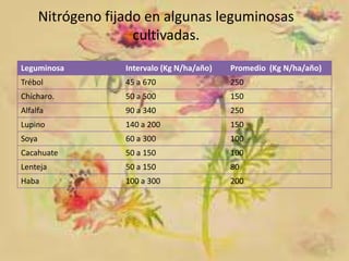 Nitrógeno fijado en algunas leguminosas
cultivadas.
Leguminosa

Intervalo (Kg N/ha/año)

Promedio (Kg N/ha/año)

Trébol

45 a 670

250

Chícharo.

50 a 500

150

Alfalfa

90 a 340

250

Lupino

140 a 200

150

Soya

60 a 300

100

Cacahuate

50 a 150

100

Lenteja

50 a 150

80

Haba

100 a 300

200

 