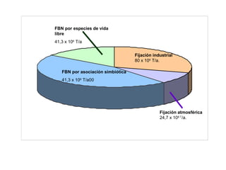 FBN por especies de vida
libre
41,3 x 106
T/a
FBN por asociación simbiótica
41,3 x 106
T/a00
Fijación industrial
80 x 106
T/a.
Fijación atmosférica
24,7 x 106 T
/a.
 