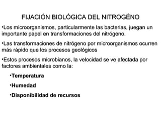 FIJACIÓN BIOLÓGICA DEL NITROGÉNOFIJACIÓN BIOLÓGICA DEL NITROGÉNO
•Los microorganismos, particularmente las bacterias, juegan unLos microorganismos, particularmente las bacterias, juegan un
importante papel en transformaciones del nitrógeno.importante papel en transformaciones del nitrógeno.
•Las transformaciones de nitrógeno por microorganismos ocurrenLas transformaciones de nitrógeno por microorganismos ocurren
más rápido que los procesos geológicosmás rápido que los procesos geológicos
•Estos procesos microbianos, la velocidad se ve afectada porEstos procesos microbianos, la velocidad se ve afectada por
factores ambientales como la:factores ambientales como la:
•TemperaturaTemperatura
•HumedadHumedad
•Disponibilidad de recursosDisponibilidad de recursos
 