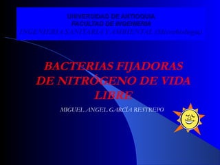 BACTERIAS FIJADORAS
DE NITRÓGENO DE VIDA
LIBRE
MIGUEL ANGEL GARCÍA RESTREPO
UNIVERSIDAD DE ANTIOQUIAUNIVERSIDAD DE ANTIOQUIA
FACULTAD DE INGENIERIAFACULTAD DE INGENIERIA
INGENIERIA SANITARIA Y AMBIENTAL (Microbiología)
 