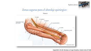 Fijadores externos
Húmero:
Hoppenfeld S, Piet dB. Abordajes en Cirugía Ortopédica. Estados Unidos 677-684
Zonas seguras para el abordaje quirúrgico:
 