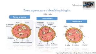 Fijadores externos
Cubito y Radio:
Tercio proximal
Tercio medio
Tercio distal
Hoppenfeld S, Piet dB. Abordajes en Cirugía Ortopédica. Estados Unidos 677-684
Zonas seguras para el abordaje quirúrgico:
 