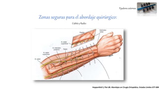 Fijadores externos
Cubito y Radio:
Hoppenfeld S, Piet dB. Abordajes en Cirugía Ortopédica. Estados Unidos 677-684
Zonas seguras para el abordaje quirúrgico:
 