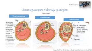 Fijadores externos
Tibia y Peroné:
Tercio proximal
Tercio medio
Tercio distal
Hoppenfeld S, Piet dB. Abordajes en Cirugía Ortopédica. Estados Unidos 677-684
Zonas seguras para el abordaje quirúrgico:
 