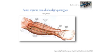 Fijadores externos
Tibia y Peroné:
Hoppenfeld S, Piet dB. Abordajes en Cirugía Ortopédica. Estados Unidos 677-684
Zonas seguras para el abordaje quirúrgico:
 
