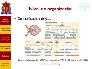 Introdução ao estudo da fisiologia
Nível de organização
● De moléculas a órgãosHistória
da fisiologia
Meio interno
e homeostase
Níveis de
organização
Características
dos sistemas
Robustez
Respostas
regulatórias
Redes regulatórias de miRNA em resposta ao TGF-β1 (Trionfini et al., 2015)
 