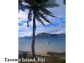 Tavew a   Island, Fiji 