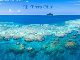 Fiji “Terra Ótima”