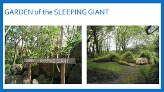 GARDEN of the SLEEPING GIANT
 
