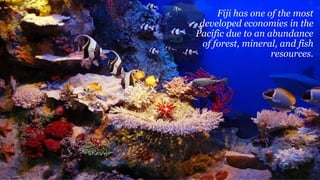 Fiji has one of the most
developed economies in the
Pacific due to an abundance
of forest, mineral, and fish
resources.
 
