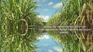Today, the main sources of foreign
exchange are its tourist industry and sugar
exports.
 