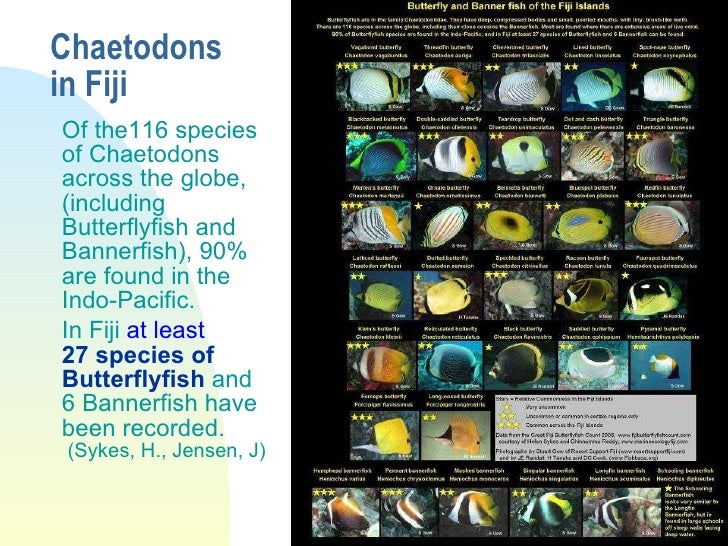 Fiji Fish Identification Chart