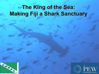 The King of the Sea:
Making Fiji a Shark Sanctuary




                                1
 