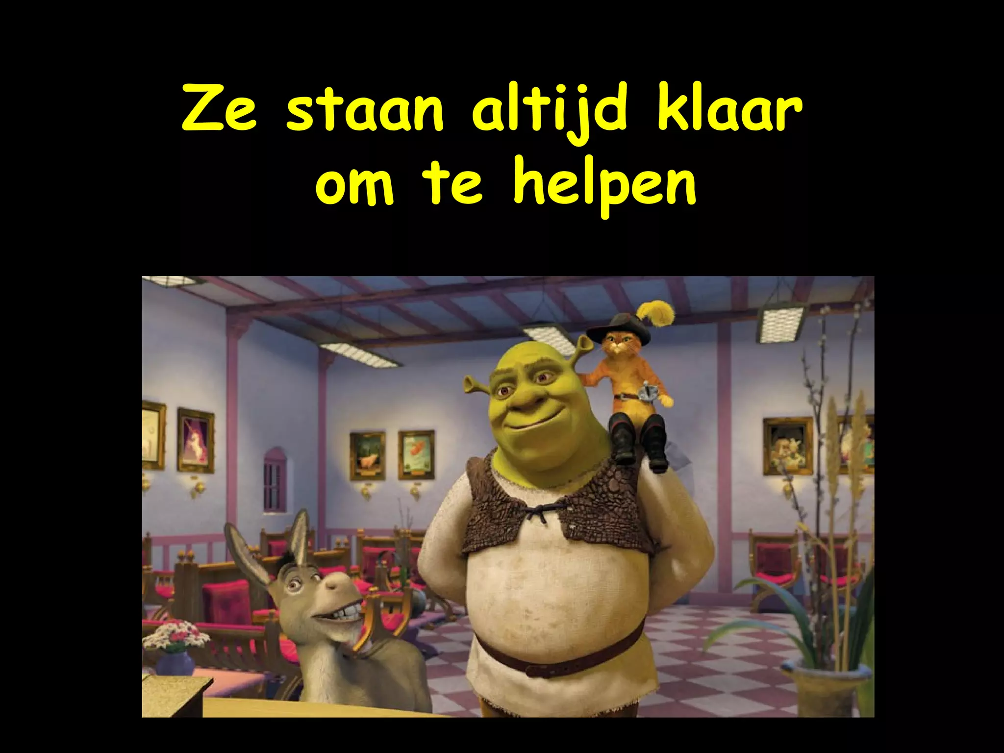 ! Ze staan altijd klaar  om te helpen 