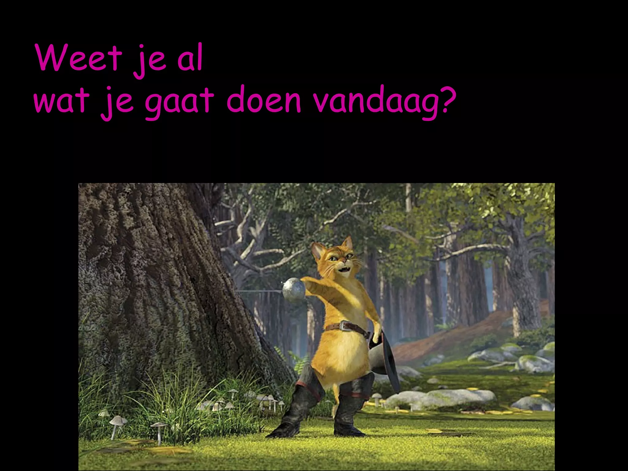 Weet je al  wat je gaat doen vandaag?  