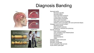 Diagnosis Banding
Neuropati perifer
Neuropati vasculitis
Neuropati difterik
Acute intermittent porphyria
Critical illness neurophaty
Lymphomatous neurophaty
Heavy metal intoxication
Post-rabies vaccine neurophaty
Diabetic-uremic neuropathy with acute peritoneal dialysis
Gangguan neuromuscular jungtion
Myasthenia gravis
Eaton-lambert syndrome
Biological or industrial toxin poisoning
Disorder of muscle
Inflammatory myopathy
Toxic myopathy/ acute rhabdomyolysis
Periodic paralysis
Hypokalemia
Hypophoshatemia
Infeksi
Gangguan system saraf pusat
Brainstern stroke
Brainstern encephalitis
Acute myelopathy (high cervical)
Acute anterior poliomyeliti
 