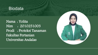 Biodata
Nama : Yolita
Nim : 2010251003
Prodi : Proteksi Tanaman
Fakultas Pertanian
Universitas Andalas
 