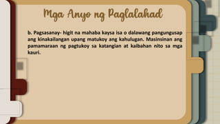 b. Pagsasanay- higit na mahaba kaysa isa o dalawang pangungusap
ang kinakailangan upang matukoy ang kahulugan. Masinsinan ang
pamamaraan ng pagtukoy sa katangian at kaibahan nito sa mga
kauri.
 