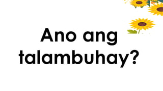 Ano ang
talambuhay?
 