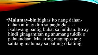 •Malumay-binibigkas ito nang dahan-
dahan at may diin sa pagbigkas sa
ikalawang pantig buhat sa hulihan. Ito ay
hindi ginagamitan ng anumang tuldik o
palatandaan. Maaaring magtapos ang
salitang malumay sa patinig o katinig.
 