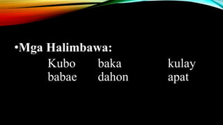 •Mga Halimbawa:
Kubo baka kulay
babae dahon apat
 