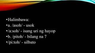 •Halimbawa:
•a. /asoh/ - usok
•/a:soh/ - isang uri ng hayop
•b. /pitoh/ - bilang na 7
•/pi:toh/ - silbato
 
