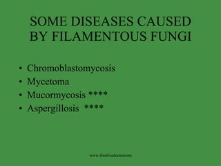 SOME DISEASES CAUSED BY FILAMENTOUS FUNGI ,[object Object],[object Object],[object Object],[object Object],www.freelivedoctorcom 