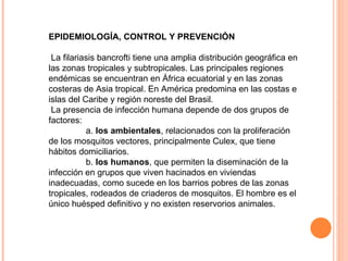 EPIDEMIOLOGÍA, CONTROL Y PREVENCIÓN La filariasis bancrofti tiene una amplia distribución geográfica en las zonas tropicales y subtropicales. Las principales regiones endémicas se encuentran en África ecuatorial y en las zonas costeras de Asia tropical. En América predomina en las costas e islas del Caribe y región noreste del Brasil.   La presencia de infección humana depende de dos grupos de factores:   a.  los ambientales , relacionados con la proliferación de los mosquitos vectores, principalmente Culex, que tiene hábitos domiciliarios.   b.  los humanos , que permiten la diseminación de la infección en grupos que viven hacinados en viviendas inadecuadas, como sucede en los barrios pobres de las zonas tropicales, rodeados de criaderos de mosquitos. El hombre es el único huésped definitivo y no existen reservorios animales. 