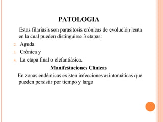 PATOLOGIA Estas filariasis son parasitosis crónicas de evolución lenta en la cual pueden distinguirse 3 etapas: Aguda Crónica y La etapa final o elefantiásica. Manifestaciones Clínicas En zonas endémicas existen infecciones asintomáticas que pueden persistir por tiempo y largo 
