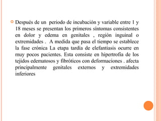 Después de un  periodo de incubación y variable entre 1 y 18 meses se presentan los primeros síntomas consistentes en dolor y edema en genitales , región inguinal o extremidades .  A medida que pasa el tiempo se establece la fase crónica La etapa tardía de elefantiasis ocurre en muy pocos pacientes. Esta consiste en hipertrofia de los tejidos edematosos y fibróticos con deformaciones . afecta principalmente genitales externos y extremidades inferiores 