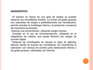 DIAGNÓSTICO:   Al examen en fresco de una gota de sangre se pueden observar las microfilarias móviles. La tinción de gotas gruesas con colorantes de sangre o preferiblemente con hematoxilina, permite estudiar la morfología interna y la presencia o ausencia de membrana envolvente.  hacerse una concentración, utilizando sangre venosa.  Consiste en el uso de microhematocrito, utilizando en el diagnóstico de malaria, que puede llenarse con sangre de punción digital. Después de centrifugado se estudia la capa de glóbulos blancos donde se buscan las microfilarias. Se recomienda la coloración con naranja de acridina para observación directa y las gotas gruesas, coloreadas con Giemsa. 