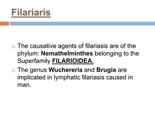 Filariaris
 The causative agents of filariasis are of the
phylum: Nemathelminthes belonging to the
Superfamily FILARIOIDEA.
 The genus Wuchereria and Brugia are
implicated in lymphatic filariasis caused in
man.
 