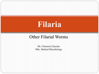 Other Filarial Worms
Ms. Clemencia Tjazuko
MSc. Medical Microbiology
Filaria
 