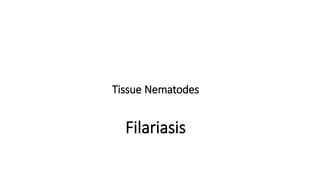 Tissue Nematodes
Filariasis
 