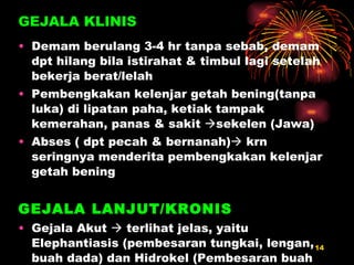 Demam berulang 3-4 hr tanpa sebab, demam dpt hilang bila istirahat & timbul lagi setelah bekerja berat/lelah Pembengkakan kelenjar getah bening(tanpa luka) di lipatan paha, ketiak tampak kemerahan, panas & sakit   sekelen (Jawa) Abses ( dpt pecah & bernanah)   krn seringnya menderita pembe ng kakan kelenjar getah bening GEJALA LANJUT/KRONIS Gejala Akut    terlihat jelas, yaitu Elephantiasis (pembesaran tungkai, lengan, buah dada) dan Hidrokel (Pembesaran buah zakar) GEJALA KLINIS 