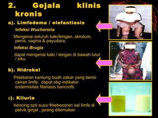 2. Gejala klinis kronis a). Limfedema / elefantiasis Infeksi  Wuchereria Mengenai seluruh kaki/lengan, skrotum, penis, vagina & payudara,  Infeksi  Brugia dapat mengenai kaki / lengan di bawah lutut / siku b). Hidrokel Pelebaran kantung buah zakar yang berisi cairan limfe.  dapat sbg indikator endemisitas filariasis bancrofti. c ). Kiluria K encing spti susu  kebocoran sal limfe di  pelvik ginjal , jarang ditemukan   