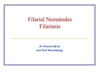 Filarial Nematodes Filariasis Dr Kamran Afzal Asst Prof Microbiology 