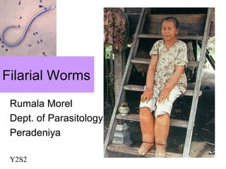 Filarial Worms
Rumala Morel
Dept. of Parasitology
Peradeniya
Y2S2
 