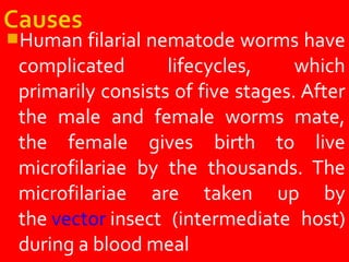 Human filarial nematode worms have
complicated lifecycles, which
primarily consists of five stages. After
the male and female worms mate,
the female gives birth to live
microfilariae by the thousands. The
microfilariae are taken up by
the vector insect (intermediate host)
during a blood meal