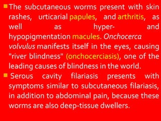 The subcutaneous worms present with skin
rashes, urticarial papules, and arthritis, as
well as hyper- and
hypopigmentation macules. Onchocerca
volvulus manifests itself in the eyes, causing
"river blindness" (onchocerciasis), one of the
leading causes of blindness in the world.
Serous cavity filariasis presents with
symptoms similar to subcutaneous filariasis,
in addition to abdominal pain, because these
worms are also deep-tissue dwellers.